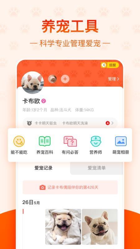 宠小帮app下载,宠小帮安卓版
