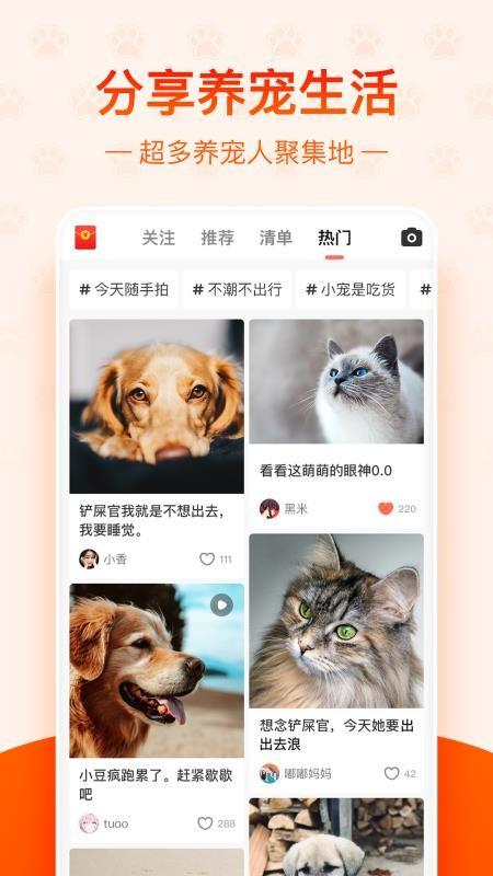 宠小帮app下载,宠小帮安卓版